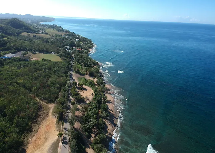 Casa Verde Hotel - Steps To The Beach, Pool, Restaurant & Bar