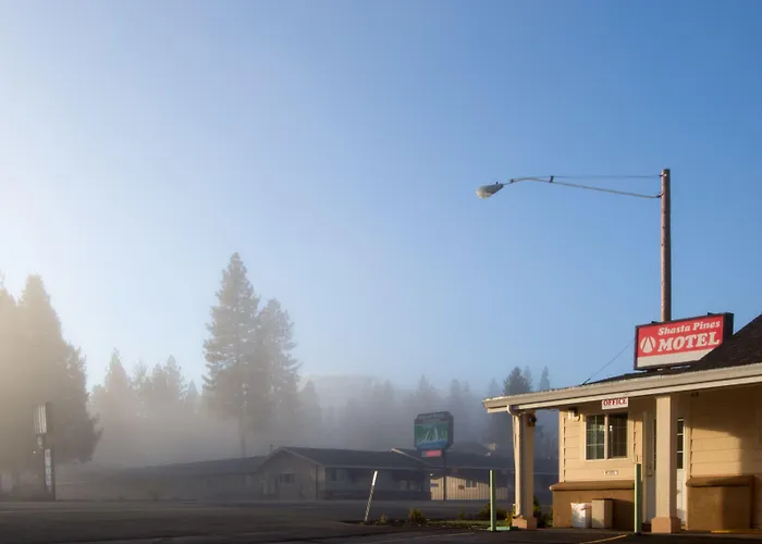 Shasta Pines Motel & Suites