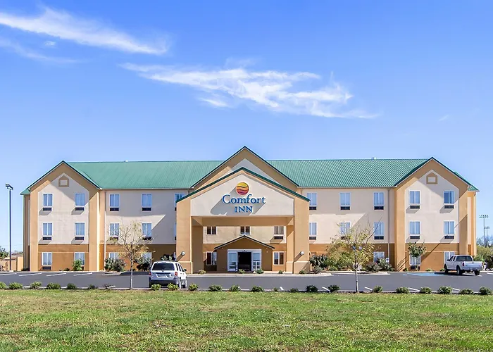 Comfort Inn Lexington South