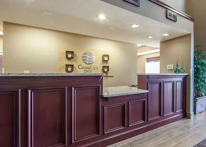 Comfort Inn Lexington South