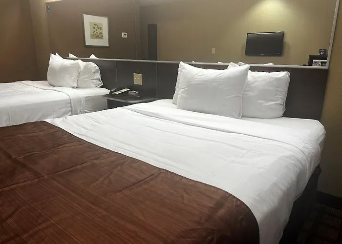 Microtel Inn & Suites By Wyndham Kenedy Karnes City