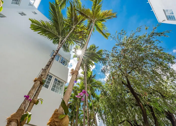 Hotel Belleza