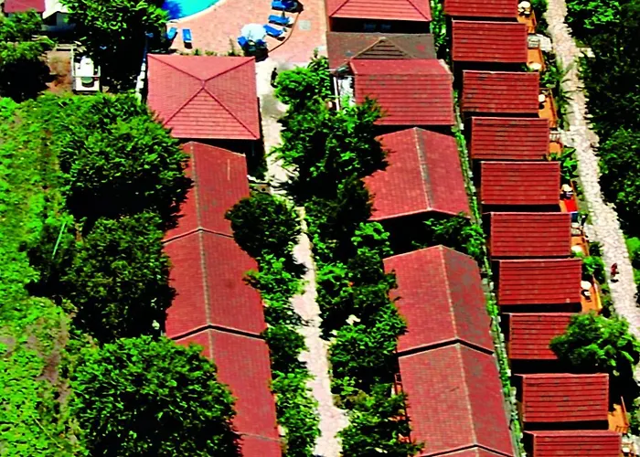 Ozlem Garden