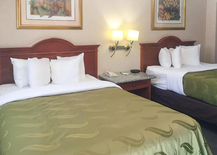 Quality Inn & Suites Near Camp Pendleton