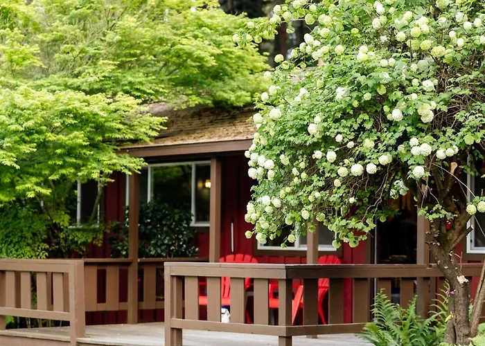 Fern River Resort