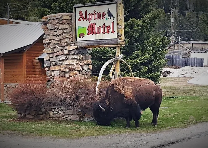Alpine Motel Of Cooke City