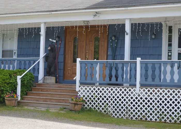 Big Bears Lodge
