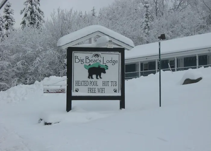 Big Bears Lodge