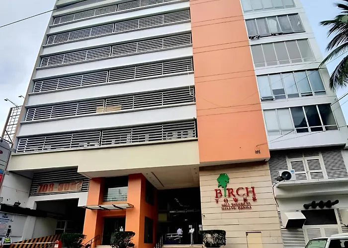 Birch Tower