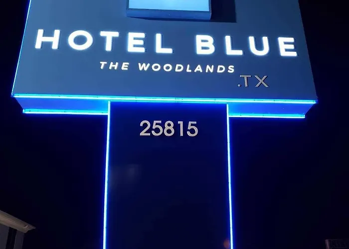 Blue - Woodlands