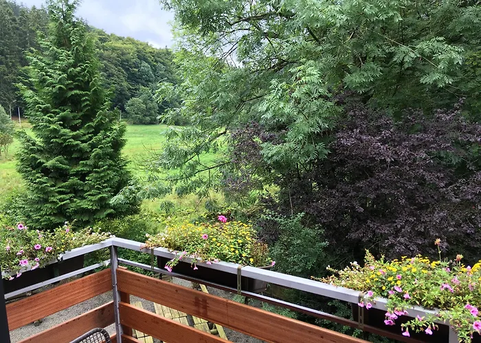 Günstige Hotels in Willingen (Upland)