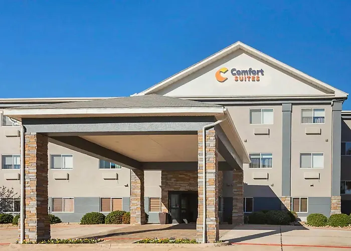 Comfort Suites Lewisville - Dallas