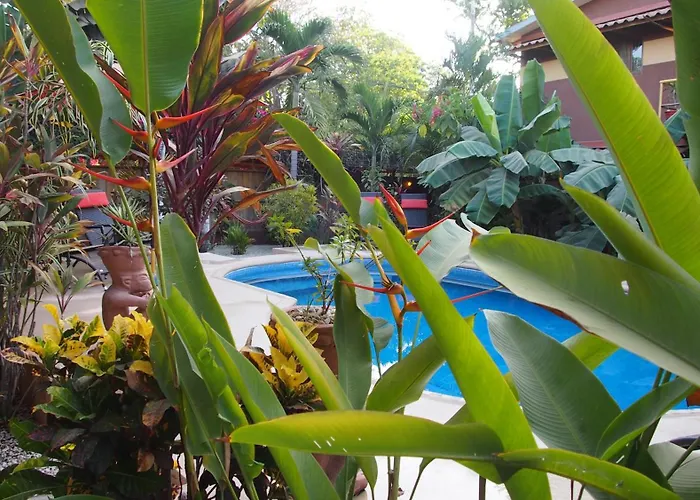 Palm Lodge