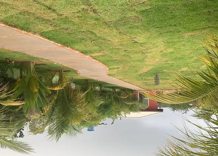 Vila do Coco - Milagres AL