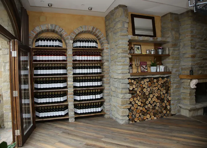 Garni Hotel Chicha - Winery Skrbic