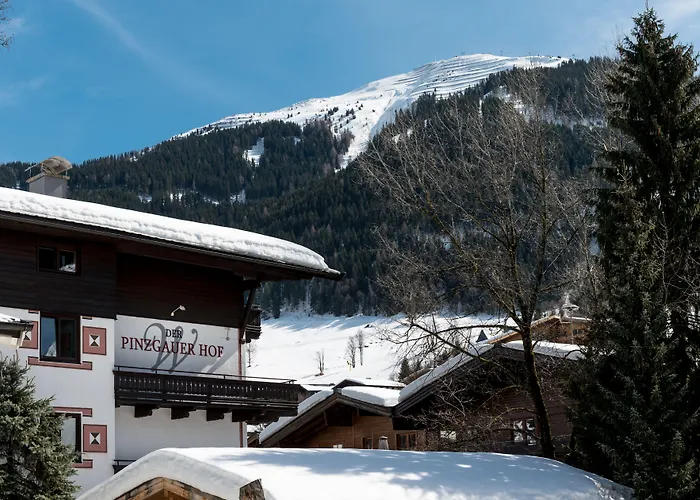 Hotel Pinzgauerhof by Skinetworks