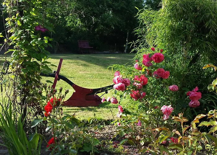 Riverfield Bed And Breakfast Gorey