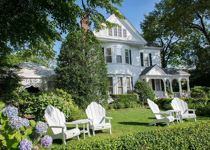 Coco, The Edgartown Collection