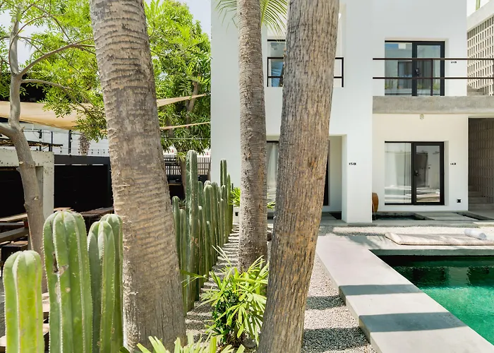 Drift San Jose Del Cabo, A Member Of Design s