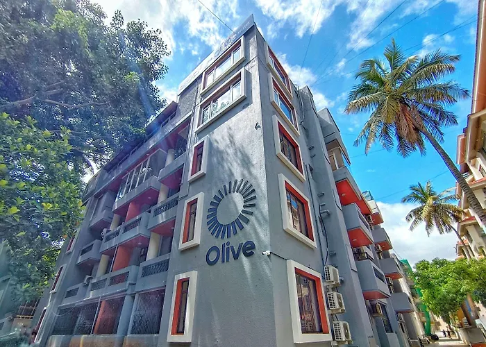 Olive Hotel Palace Road By Embassy Group