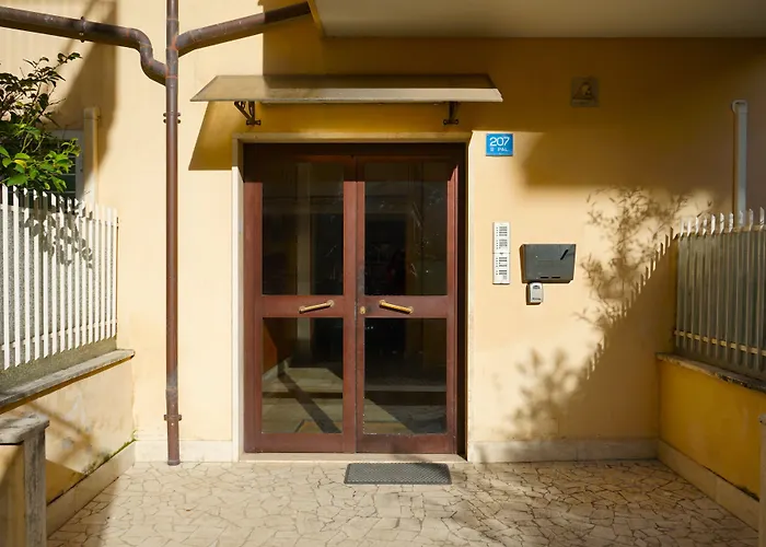 Mikasa Balduina Roma