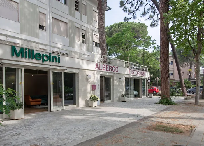 Hotel Millepini