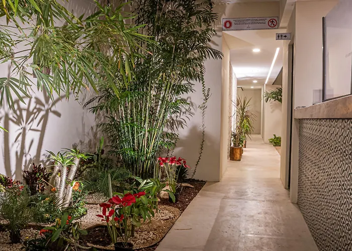 Moonshine Tulum Hotel & Hostel