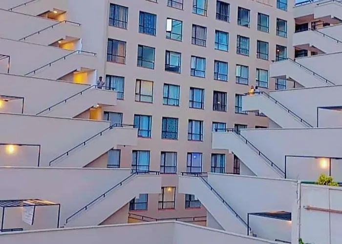 The Connoisseur Haven