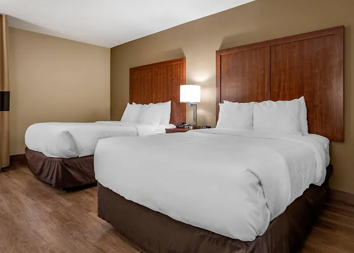 Comfort Birmingham Homewood
