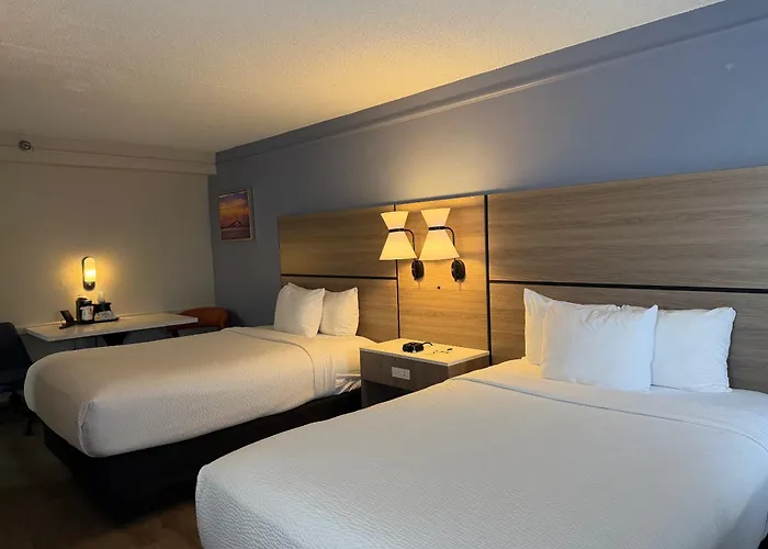 La Quinta By Wyndham St Peterburg Clearwater