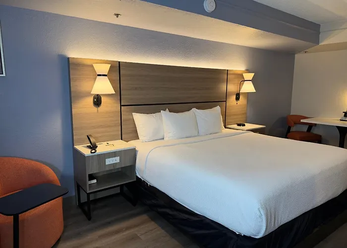 La Quinta By Wyndham St Peterburg Clearwater