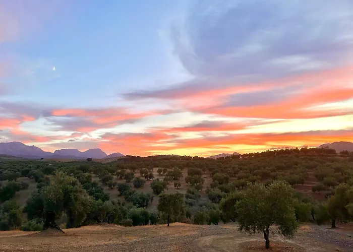 Hacienda el Tarajal