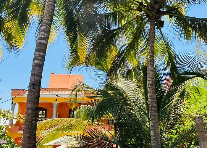 Hotel Rosa de los vientos