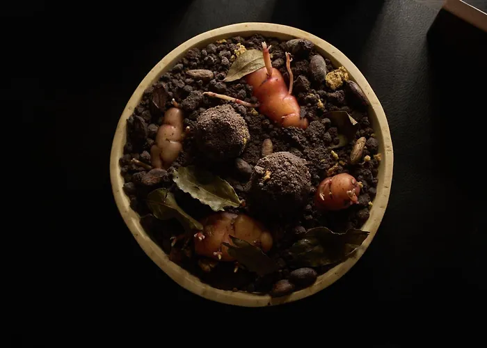 Hotel Rothaus Luzern & Peruvian Culinary Art