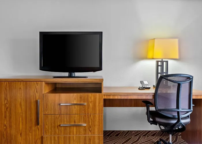 Quality Inn & Suites Airport - Stone Oak