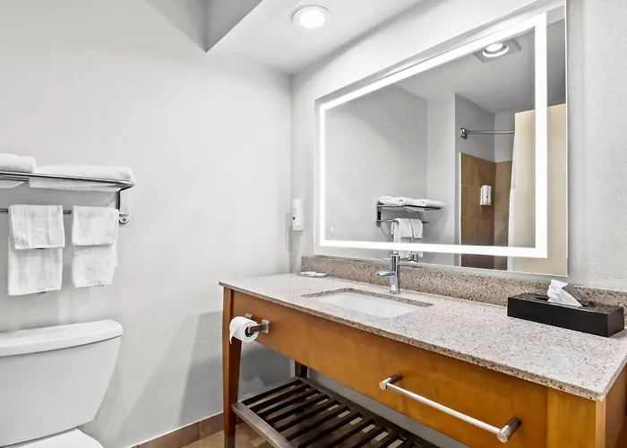 Quality Inn & Suites Airport - Stone Oak