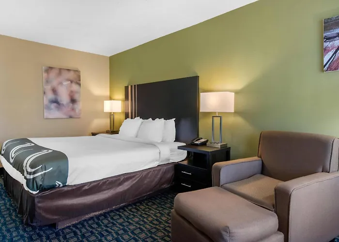 Quality Inn & Suites Brooksville I-75-Dade City