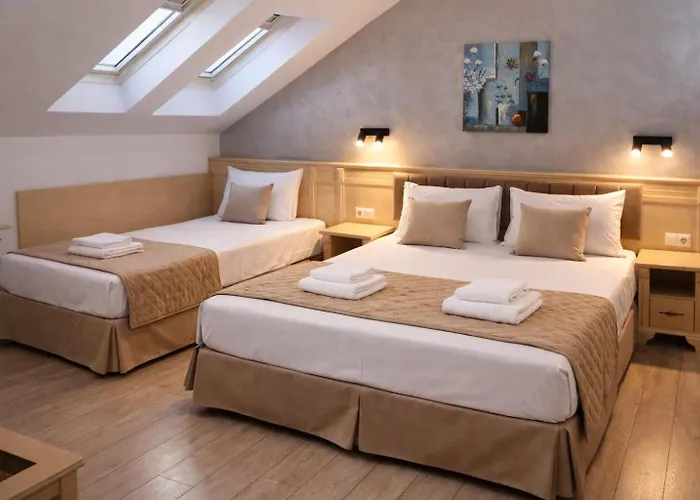 Hotel Aris