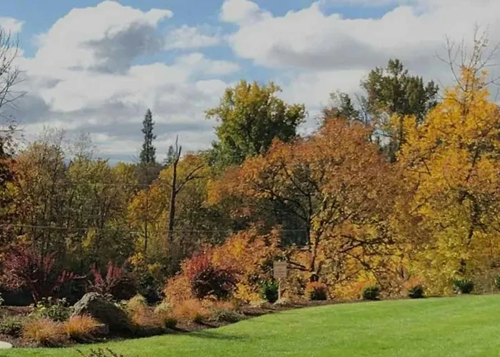 The Lodge At Roseburg