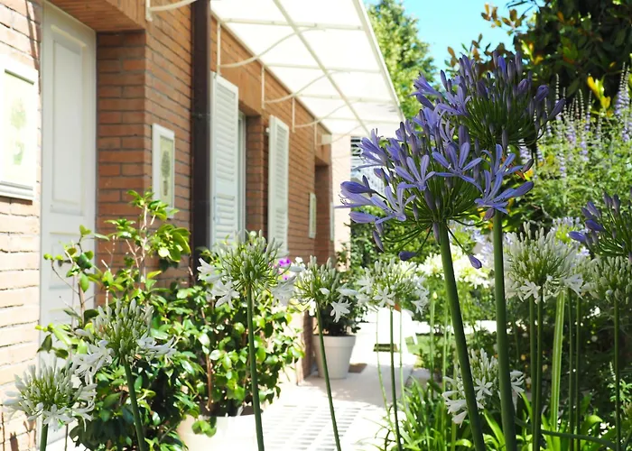 Aura Relais