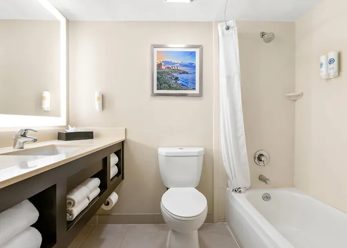 Comfort Inn Chula Vista San Diego South