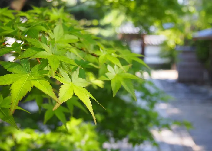Muni Kyoto