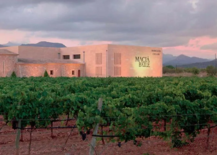Agroturisme Sa Torre (Adults Only)