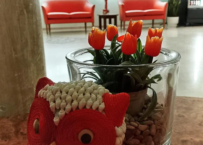 Hotel Anita