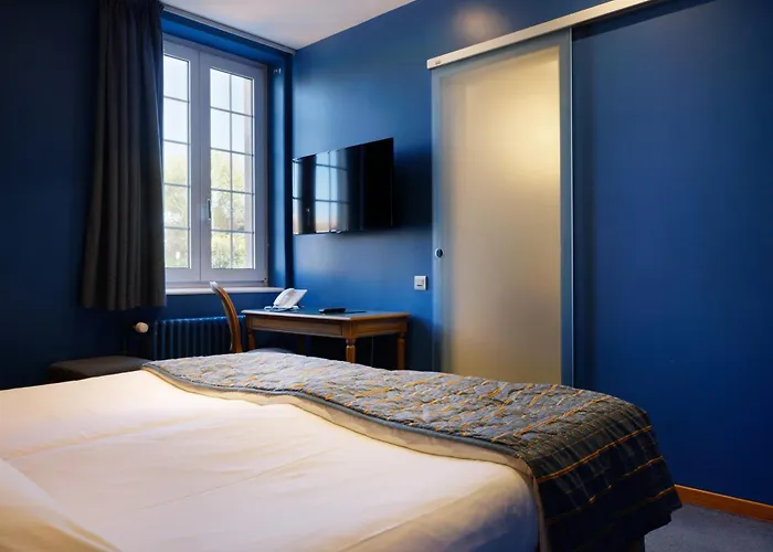 Hotel Beausejour Colmar