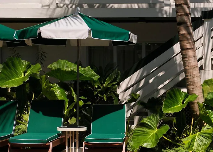Perroquet Hotel