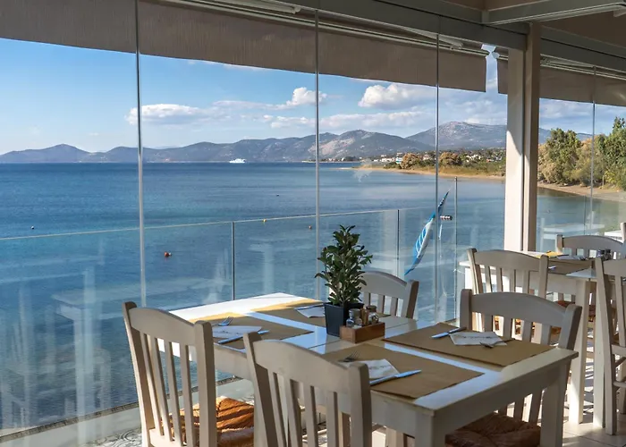 Venus Beach Hotel
