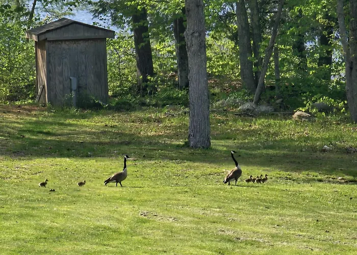 Lake Shore Farm Inn