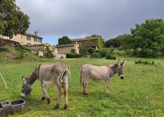 Domaine de la Blaque - B&B Varages
