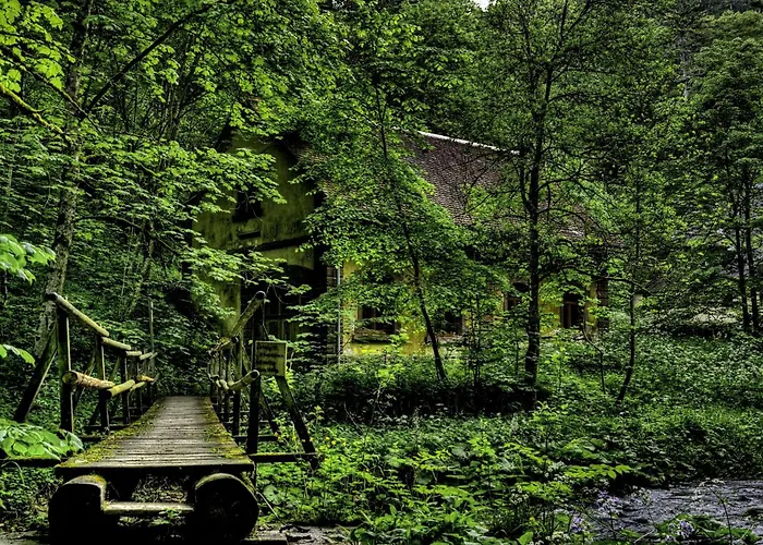 Wildkräuter-Gasthof Linde